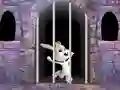 Victory Rabbit Escape — 無料オンラインゲーム