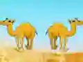 Desert Gold Rush The Great Treasure Escape — 無料オンラインゲーム