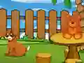 Funny Iguana Escape — 無料オンラインゲーム