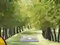 Pair of Cat Escape — 無料オンラインゲーム