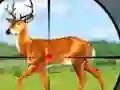 Wild Hunt Hunting Games 3D — 無料オンラインゲーム