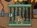Staffordshire Bull Terrier Escape — 無料オンラインゲーム
