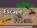 Escape the Prison — 無料オンラインゲーム