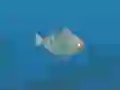 ゲームFish Companionsオンライン