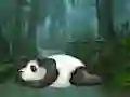 Wakeup The Sleeping Panda — 無料オンラインゲーム