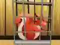 Rescue The Red Squirrel From Cage — 無料オンラインゲーム