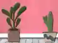 Find Houseplant — 無料オンラインゲーム