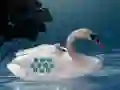 Save The Swan Mother Child — 無料オンラインゲーム