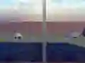Escape from the House with Turtles — 無料オンラインゲーム