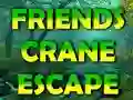 Friends Crane Escape — 無料オンラインゲーム