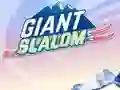 Giant Slalom — 無料オンラインゲーム