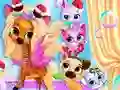 Pets Grooming Bubble Party — 無料オンラインゲーム