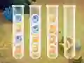 ゲームSort Bubblesオンライン