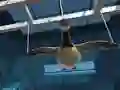 Goose Museum — 無料オンラインゲーム