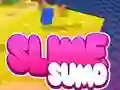 Sumo Slime 3D — 無料オンラインゲーム