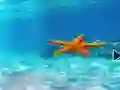 Escape From Underwater Starfish — 無料オンラインゲーム