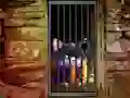 Hidden Cat Escape — 無料オンラインゲーム