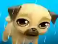 My Virtual Pet Louie the Pug — 無料オンラインゲーム