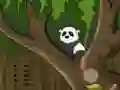 Panda Jungle Escape — 無料オンラインゲーム
