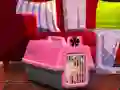 ゲームEscape The Small Pugオンライン