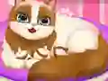 Cute Kitty Pregnant — 無料オンラインゲーム