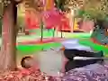 ゲームRescue A Wounded Guyオンライン