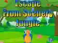 Escape from Scenery Jungle — 無料オンラインゲーム