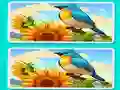 ゲームSpot the Difference The Gardenオンライン