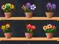 Good Flower Master — 無料オンラインゲーム