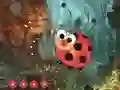 Cute Ladybug Land Escape — 無料オンラインゲーム