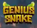 Genius Snake — 無料オンラインゲーム
