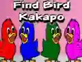 Find Bird Kakapo — 無料オンラインゲーム