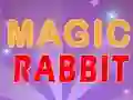 Magic Rabbit — 無料オンラインゲーム