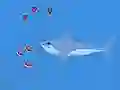 Oceans Shees — 無料オンラインゲーム