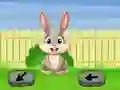 Springtime Escape — 無料オンラインゲーム