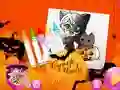 Chibi Sup Coloring — 無料オンラインゲーム