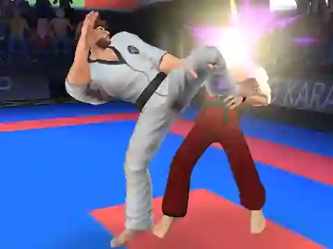 Karate Fighter — 無料オンラインゲーム