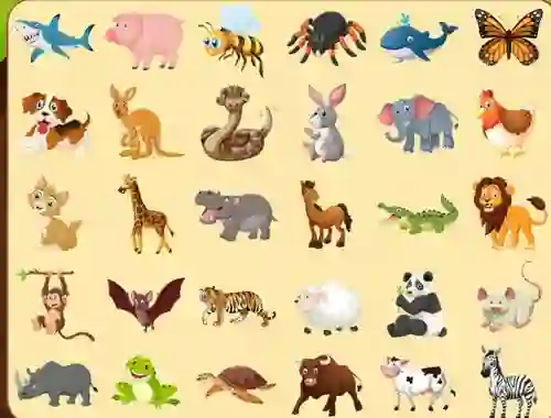 Discover Animals — 無料オンラインゲーム