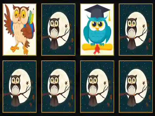 Cute Owl Memory — 無料オンラインゲーム