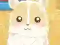 Hamster Love — 無料オンラインゲーム