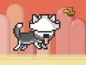 Mr Jump Husky — 無料オンラインゲーム