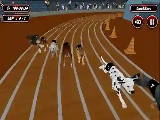 Crazyl Dog Racing Fever — 無料オンラインゲーム