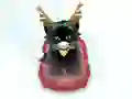 Pet Sledding — 無料オンラインゲーム