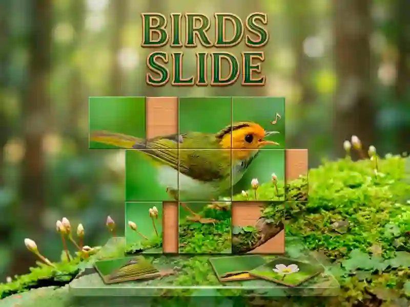 Birds Slide — 無料オンラインゲーム