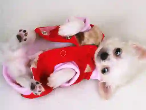 Lovely Puppy Slide — 無料オンラインゲーム