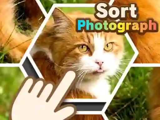 Sort Photograph — 無料オンラインゲーム