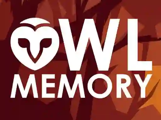 Owl Memory — 無料オンラインゲーム