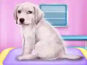 Labrador at the doctor salon — 無料オンラインゲーム