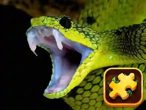 Snake Puzzle Challenge — 無料オンラインゲーム