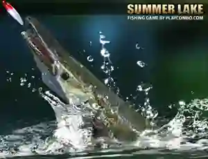 Summer Lake — 無料オンラインゲーム